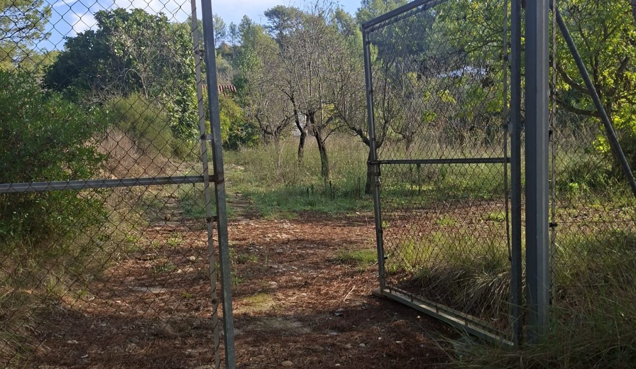 IMG-20261017-WA0012